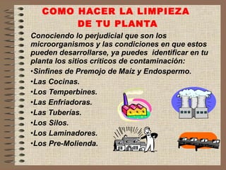 COMO HACER LA LIMPIEZA  DE TU PLANTA Conociendo lo perjudicial que son los microorganismos y las condiciones en que estos pueden desarrollarse, ya puedes  identificar en tu planta los sitios críticos de contaminación: Sinfines de Premojo de Maíz y Endospermo. Las Cocinas. Los Temperbines. Las Enfriadoras. Las Tuberías. Los Silos. Los Laminadores. Los Pre-Molienda. 