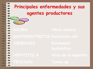 Principales enfermedades y sus agentes productores 