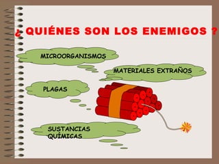 ¿ QUIÉNES SON LOS ENEMIGOS ? MICROORGANISMOS SUSTANCIAS QUÍMICAS MATERIALES EXTRAÑOS PLAGAS 