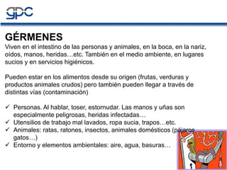 GÉRMENES
Viven en el intestino de las personas y animales, en la boca, en la nariz,
oídos, manos, heridas…etc. También en el medio ambiente, en lugares
sucios y en servicios higiénicos.
Pueden estar en los alimentos desde su origen (frutas, verduras y
productos animales crudos) pero también pueden llegar a través de
distintas vías (contaminación)
 Personas. Al hablar, toser, estornudar. Las manos y uñas son
especialmente peligrosas, heridas infectadas…
 Utensilios de trabajo mal lavados, ropa sucia, trapos…etc.
 Animales: ratas, ratones, insectos, animales domésticos (pájaros,
gatos…)
 Entorno y elementos ambientales: aire, agua, basuras…
 