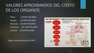 VALORES APROXIMADOS DEL COSTO
DE LOS ORGANOS
• Riñon 120,000 DOLARES
• Higado 150,000 DOLARES
• Pancreas 120,000 DOLARES
• Pulmones 150, 000 DOLARES
• Corazon 93,500 DOLARES
*Según estimaciones de la OMS
 