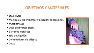 • OBJETIVO:
• Manipular, experimentar y descubrir sensaciones.
• MATERIALES:
• Uvas de diversas clases
• Barreños metálico...