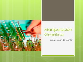 Manipulación
Genética
Luisa Fernanda Murillo
 