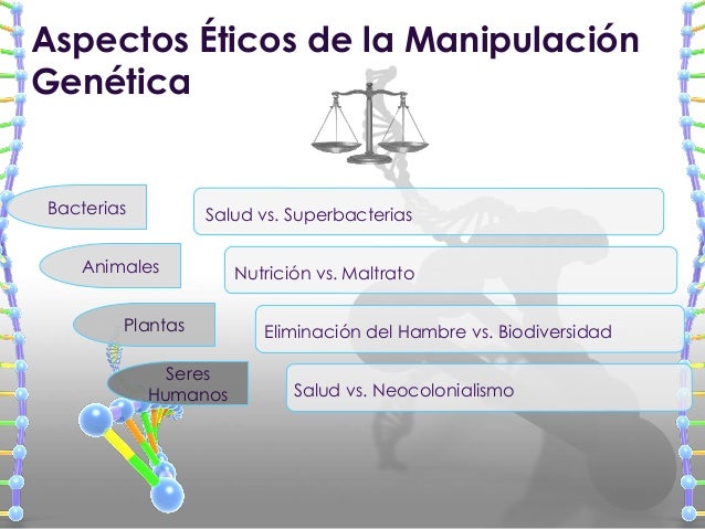 Manipulación genética