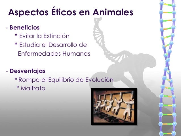 Manipulacion Genetica