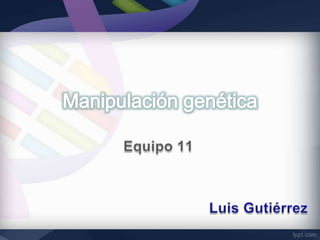 Manipulación genética
