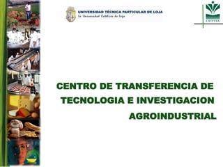 CENTRO DE TRANSFERENCIA DE  TECNOLOGIA E INVESTIGACION   AGROINDUSTRIAL 