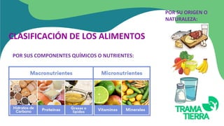 CLASIFICACIÓN DE LOS ALIMENTOS
POR SUS COMPONENTES QUÍMICOS O NUTRIENTES:
POR SU ORIGEN O
NATURALEZA:
 
