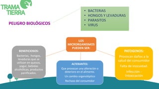 PELIGRO BIOLÓGICOS
• BACTERIAS
• HONGOS Y LEVADURAS
• PARASITOS
• VIRUS
LOS
MICRORGANISMOS
PUEDEN SER:
BENEFICIOSOS:
Bacterias, hongos,
levaduras que se
utilizan en quesos,
yogur, bebidas
alcohólicas, productos
panificados.
PATOGENOS:
Provocan daños a la
salud del consumidor
Falta de inocuidad.
Infección -
Intoxicación
ALTERANTES:
Que provocan una alteración o
deterioro en el alimento.
Un cambio organoléptico
Rechazo del consumidor
 