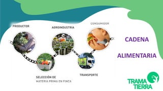 CADENA
ALIMENTARIA
 