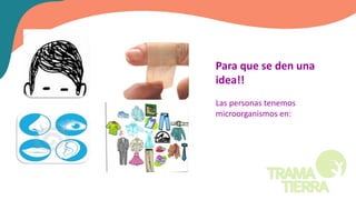 Para que se den una
idea!!
Las personas tenemos
microorganismos en:
 