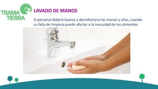 LAVADO DE MANOS
El personal deberá lavarse y desinfectarse las manos y uñas, cuando
su falta de limpieza puede afectar a la inocuidad de los alimentos.
 