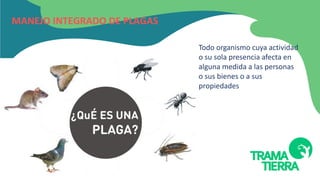 MANEJO INTEGRADO DE PLAGAS
Todo organismo cuya actividad
o su sola presencia afecta en
alguna medida a las personas
o sus bienes o a sus
propiedades
 