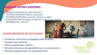 PLAGAS DE INTERES SANITARIO
• GRANDES PLAGAS (Perros, Gatos, Palomas)
• VECTORES VOLADORES (Moscas, mosquitos)
• VECTOREES RASTREROS (cucarachas, vinchucas, pulgas)
• PLAGAS MOLESTAS (hormigas, escorpiones, arañas, grillos, avispas)
• ROEDORES (ratas, ratones)
ACCION NEGATIVA DE LAS PLAGAS
• Ocasionan, transmiten o propagan enfermedades.
• Compiten por alimento
• Dañan propiedades o bienes
• Resultan molestas y desagradables por su sola presencia
• Resultan peligrosas por su comportamiento.
 