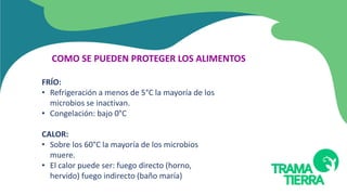 COMO SE PUEDEN PROTEGER LOS ALIMENTOS
FRÍO:
• Refrigeración a menos de 5°C la mayoría de los
microbios se inactivan.
• Congelación: bajo 0°C
CALOR:
• Sobre los 60°C la mayoría de los microbios
muere.
• El calor puede ser: fuego directo (horno,
hervido) fuego indirecto (baño maría)
 
