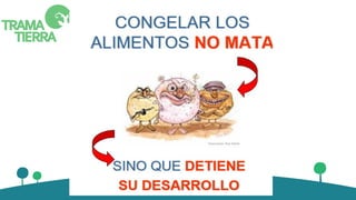 MANIPULACION-DE-ALIMENTOS.pdf