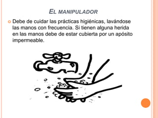 El manipuladorDebe de cuidar las prácticas higiénicas, lavándose las manos con frecuencia. Si tienen alguna herida en las manos debe de estar cubierta por un apósito impermeable.