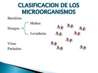 Bactérias
            Mohos
Hongos
            Levaduras

Vírus
Parásitos
 