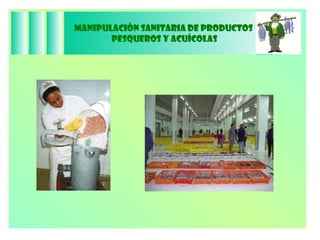 Manipulación Sanitaria de Productos  Pesqueros y Acuícolas 
