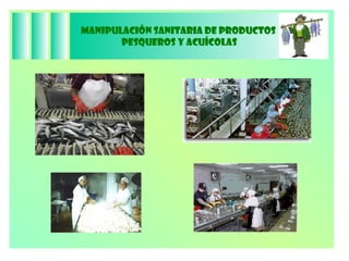 Manipulación Sanitaria de Productos  Pesqueros y Acuícolas 