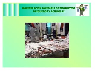 Manipulación Sanitaria de Productos  Pesqueros y Acuícolas 