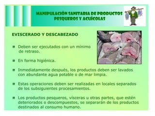 Manipulación Sanitaria de Productos  Pesqueros y Acuícolas EVISCERADO Y DESCABEZADO Deben ser ejecutados con un mínimo  de retraso. En forma higiénica. Inmediatamente después, los productos deben ser lavados  con abundante agua potable o de mar limpia. Estas operaciones deben ser realizadas en locales separados  de los subsiguientes procesamientos. Los productos pesqueros, vísceras u otras partes, que estén  deteriorados o descompuestos, se separarán de los productos destinados al consumo humano. 