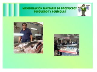Manipulación Sanitaria de Productos  Pesqueros y Acuícolas 