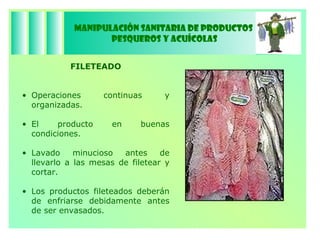 Manipulación Sanitaria de Productos  Pesqueros y Acuícolas FILETEADO Operaciones continuas y organizadas. El producto en buenas condiciones. Lavado minucioso antes de llevarlo a las mesas de filetear y cortar.  Los productos fileteados deberán de enfriarse debidamente antes de ser envasados. 