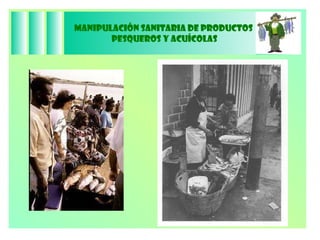Manipulación Sanitaria de Productos  Pesqueros y Acuícolas 