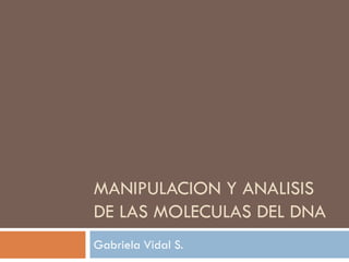 MANIPULACION Y ANALISIS
DE LAS MOLECULAS DEL DNA
Gabriela Vidal S.
 