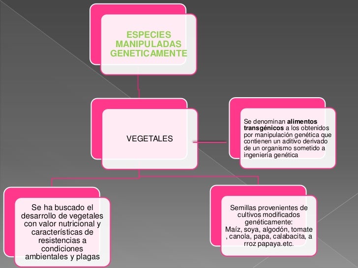 Manipulacion Geneticamente De Animales Y Vegetales