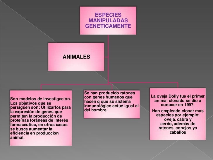 Manipulacion Geneticamente De Animales Y Vegetales