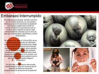 Embarazo Interrumpido
El embarazo interrumpido, también conocido
con el nombre de aborto, es una práctica
médica que pone fin al proceso de gestación.
El embarazo puede interrumpirse de
forma voluntaria o involuntaria ya que en
muchos casos el aborto se lleva a cabo
intencionalmente, mientras que en otros se
trata de una finalización espontánea y natural
del embarazo.
Se asegura que entre el 10%y el 30% de los
embarazos se interrumpen por diferentes
motivos. Los médicos, muchas veces, llegan
a recomendar la finalización del embarazo
cuando después de realizar varios estudios
tienen la certeza de que el feto presenta
condiciones que lo imposibilitan para nacer,
quizás una mal formación en su cuerpo, una
enfermedad genética u otro problema que no
permitirá que el embarazo llegue a
completarse.
Por otro lado, un embarazo interrumpido
puede llevarse a cabo por causa de que la
salud de la madre se encuentra
comprometida con el avance de la gestación.
 