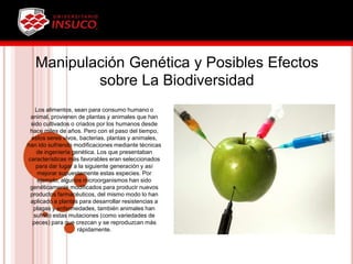 Manipulación Genética y Posibles Efectos
sobre La Biodiversidad
Los alimentos, sean para consumo humano o
animal, provienen de plantas y animales que han
sido cultivados o criados por los humanos desde
hace miles de años. Pero con el paso del tiempo,
estos seres vivos, bacterias, plantas y animales,
han ido sufriendo modificaciones mediante técnicas
de ingeniería genética. Los que presentaban
características más favorables eran seleccionados
para dar lugar a la siguiente generación y así
mejorar supuestamente estas especies. Por
ejemplo, algunos microorganismos han sido
genéticamente modificados para producir nuevos
productos farmacéuticos, del mismo modo lo han
aplicado a plantas para desarrollar resistencias a
plagas y enfermedades, también animales han
sufrido estas mutaciones (como variedades de
peces) para que crezcan y se reproduzcan más
rápidamente.
 