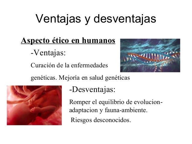 Manipulacion Genetica