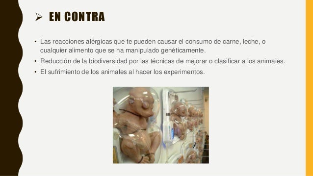 Manipulacion Genetica