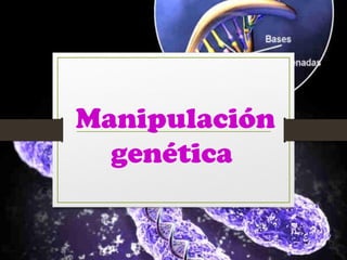 Manipulación
genética
 