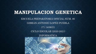 MANIPULACION GENETICA
ESCUELA PREPARATORIA OFICIAL NUM. 90
GIBRAN ANTONIO LOPEZ PUEBLA
1°1 14/06/21
CICLO ESCOLAR (2020-2021)
INFORMATICA
 