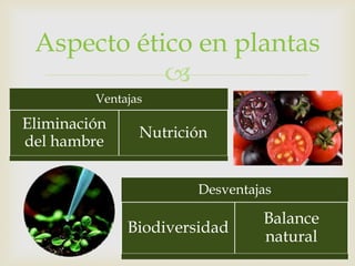 Aspecto ético en plantas
            
         Ventajas

Eliminación
                Nutrición
del hambre


                       Desventajas

                                Balance
              Biodiversidad
                                natural
 