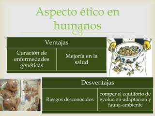 Aspecto ético en
          humanos
             
          Ventajas
 Curación de
                  Mejoría en la
enfermedades
                     salud
  genéticas


                        Desventajas
                                  romper el equilibrio de
          Riesgos desconocidos    evolucion-adaptacion y
                                     fauna-ambiente
 