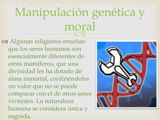 Manipulación genética y
            moral
              
 Algunas religiones enseñan
 que los seres humanos son
 esencialmente diferentes de
 otros mamíferos, que una
 divinidad les ha dotado de
 alma inmortal, confiriéndoles
 un valor que no se puede
 comparar con el de otros seres
 vivientes. La naturaleza
 humana se considera única y
 sagrada.
 