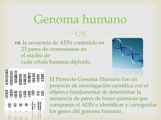 Genoma humano
            
 la secuencia de ADN contenida en
 23 pares de cromosomas en
 el núcleo de
 cada célula humana diploide.


             El Proyecto Genoma Humano fue un
             proyecto de investigación científica con el
             objetivo fundamental de determinar la
             secuencia de pares de bases químicas que
             componen el ADN e identificar y cartografiar
             los genes del genoma humano.
 