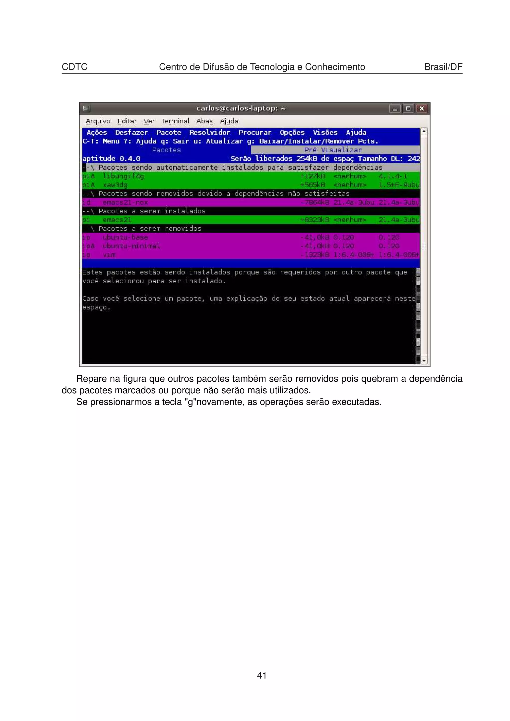 CDTC Centro de Difusão de Tecnologia e Conhecimento Brasil/DF
Repare na ﬁgura que outros pacotes também serão removidos pois quebram a dependência
dos pacotes marcados ou porque não serão mais utilizados.
Se pressionarmos a tecla "g"novamente, as operações serão executadas.
41
 