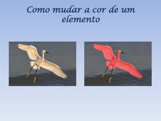 ManipulaçãO Da Imagem