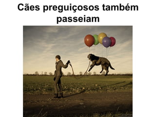 C ãe s  preguiço s os  t amb ém   passeiam 