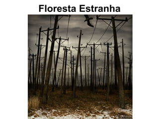Floresta Estranha 