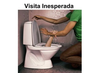 Visita Inesperada 