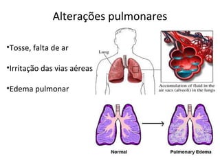 Alterações pulmonares
•Tosse, falta de ar
•Irritação das vias aéreas
•Edema pulmonar

 