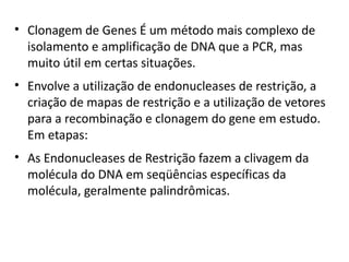 • Clonagem de Genes É um método mais complexo de
  isolamento e amplificação de DNA que a PCR, mas
  muito útil em certas situações.
• Envolve a utilização de endonucleases de restrição, a
  criação de mapas de restrição e a utilização de vetores
  para a recombinação e clonagem do gene em estudo.
  Em etapas:
• As Endonucleases de Restrição fazem a clivagem da
  molécula do DNA em seqüências específicas da
  molécula, geralmente palindrômicas.
 