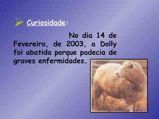  Curiosidade:
                No dia 14 de
Fevereiro, de 2003, a Dolly
foi abatida porque padecia de
graves enfermidades.
 